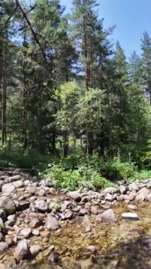 Beli Iskar Nehri yakınlarındaki Rila Dağı, Sofya Bölgesi, Bulgaristan