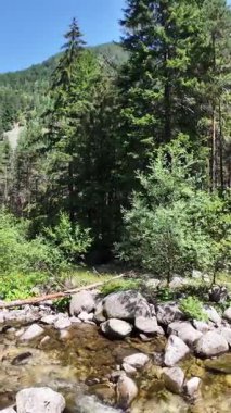 Beli Iskar Nehri yakınlarındaki Rila Dağı, Sofya Bölgesi, Bulgaristan