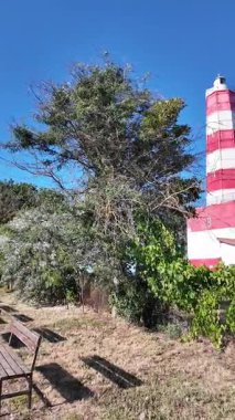 Bulgaristan 'ın Dobrich Bölgesi' ndeki Şabla Burnu yakınlarındaki Karadeniz sahili yaz manzarası