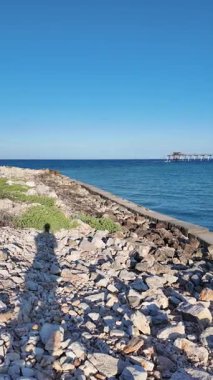 Bulgaristan 'ın Dobrich Bölgesi' ndeki Şabla Burnu yakınlarındaki Karadeniz sahili yaz manzarası