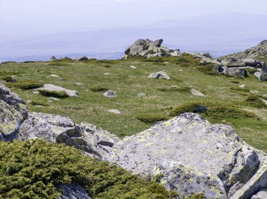 Bulgaristan 'ın Vitosha Dağı' nın Muhteşem Bahar Panoraması