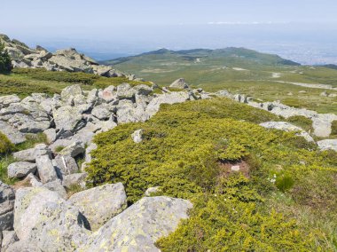 Bulgaristan 'ın Vitosha Dağı' nın Muhteşem Bahar Panoraması