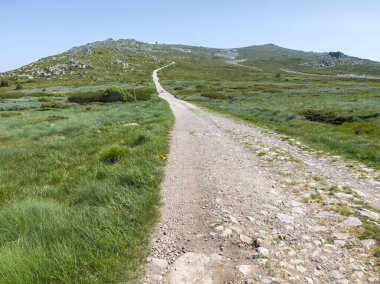 Bulgaristan 'ın Vitosha Dağı' nın Muhteşem Bahar Panoraması