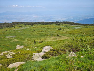 Bulgaristan 'ın Vitosha Dağı' nın Muhteşem Bahar Panoraması