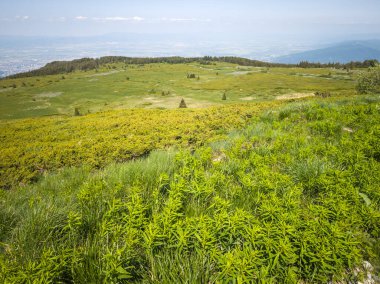 Bulgaristan 'ın Vitosha Dağı' nın Muhteşem Bahar Panoraması
