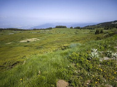 Bulgaristan 'ın Vitosha Dağı' nın Muhteşem Bahar Panoraması