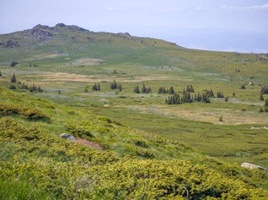 Bulgaristan 'ın Vitosha Dağı' nın Muhteşem Bahar Panoraması