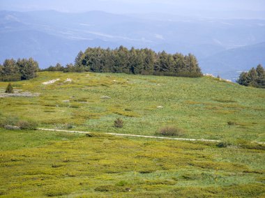 Bulgaristan 'ın Vitosha Dağı' nın Muhteşem Bahar Panoraması