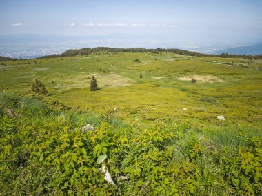 Bulgaristan 'ın Vitosha Dağı' nın Muhteşem Bahar Panoraması