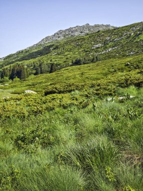 Bulgaristan 'ın Vitosha Dağı' nın Muhteşem Bahar Panoraması