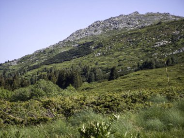 Bulgaristan 'ın Vitosha Dağı' nın Muhteşem Bahar Panoraması