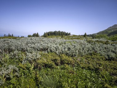 Bulgaristan 'ın Vitosha Dağı' nın Muhteşem Bahar Panoraması