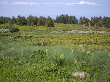 Bulgaristan 'ın Vitosha Dağı' nın Muhteşem Bahar Panoraması