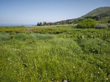 Bulgaristan 'ın Vitosha Dağı' nın Muhteşem Bahar Panoraması