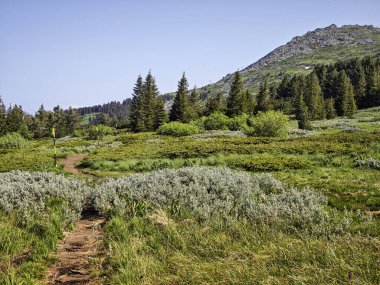 Bulgaristan 'ın Vitosha Dağı' nın Muhteşem Bahar Panoraması