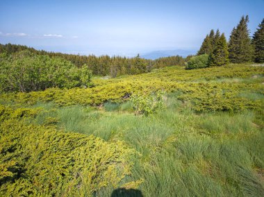 Bulgaristan 'ın Vitosha Dağı' nın Muhteşem Bahar Panoraması