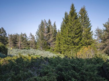 Bulgaristan 'ın Vitosha Dağı' nın Muhteşem Bahar Panoraması