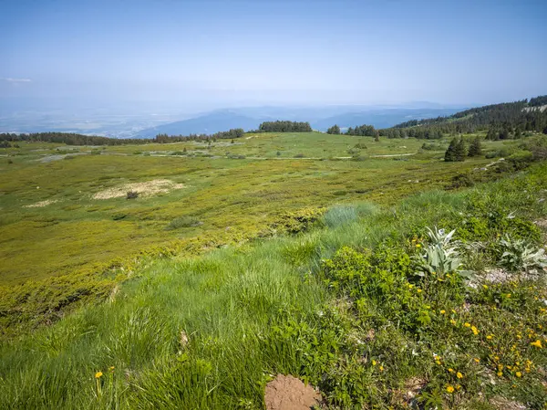 Bulgaristan 'ın Vitosha Dağı' nın Muhteşem Bahar Panoraması
