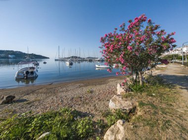 Skiathos Town, Sporades, Thessaly, Yunanistan 'ın inanılmaz kıyı şeridi manzarası