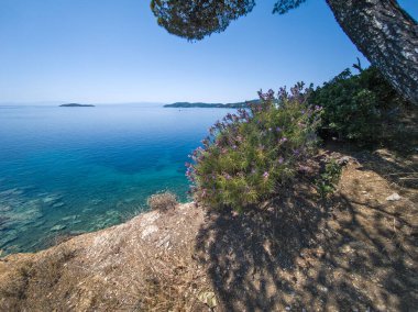Skiathos Town, Sporades, Thessaly, Yunanistan 'ın inanılmaz kıyı şeridi manzarası