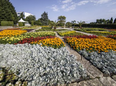 Bulgaristan 'ın Dobrich bölgesinin Balchik kentindeki Botanik Bahçesi' nin inanılmaz manzarası