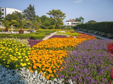 Bulgaristan 'ın Dobrich bölgesinin Balchik kentindeki Botanik Bahçesi' nin inanılmaz manzarası