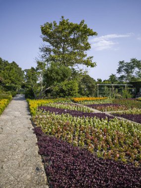 Bulgaristan 'ın Dobrich bölgesinin Balchik kentindeki Botanik Bahçesi' nin inanılmaz manzarası