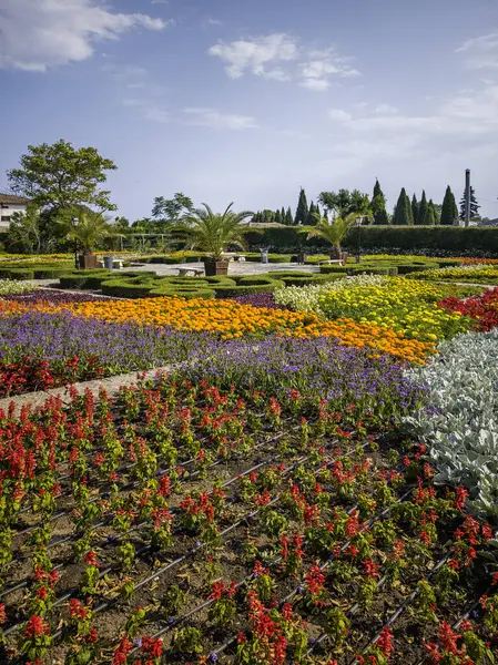Bulgaristan 'ın Dobrich bölgesinin Balchik kentindeki Botanik Bahçesi' nin inanılmaz manzarası