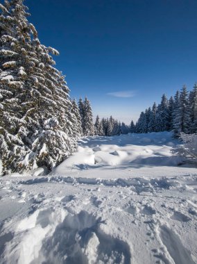 Bulgaristan 'ın Sofya Şehir Bölgesi, Vitosha Dağı' nın İnanılmaz Kış manzarası