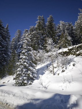 Bulgaristan 'ın Sofya Şehir Bölgesi, Vitosha Dağı' nın İnanılmaz Kış manzarası