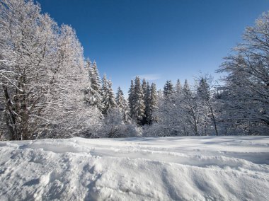Bulgaristan 'ın Sofya Şehir Bölgesi, Vitosha Dağı' nın İnanılmaz Kış manzarası