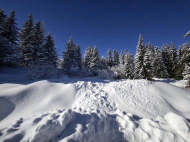 Bulgaristan 'ın Sofya Şehir Bölgesi, Vitosha Dağı' nın İnanılmaz Kış manzarası
