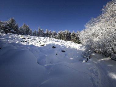 Bulgaristan 'ın Sofya Şehir Bölgesi, Vitosha Dağı' nın İnanılmaz Kış manzarası