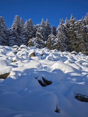 Bulgaristan 'ın Sofya Şehir Bölgesi, Vitosha Dağı' nın İnanılmaz Kış manzarası
