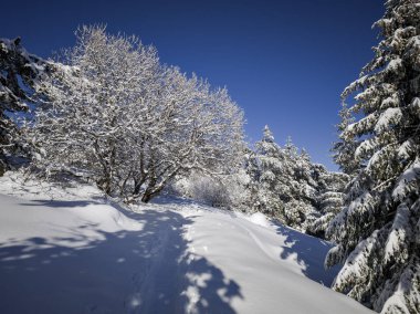 Bulgaristan 'ın Sofya Şehir Bölgesi, Vitosha Dağı' nın İnanılmaz Kış manzarası