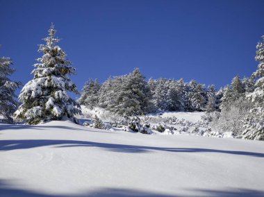 Bulgaristan 'ın Sofya Şehir Bölgesi, Vitosha Dağı' nın İnanılmaz Kış manzarası