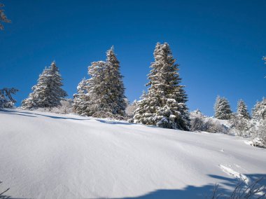 Bulgaristan 'ın Sofya Şehir Bölgesi, Vitosha Dağı' nın İnanılmaz Kış manzarası