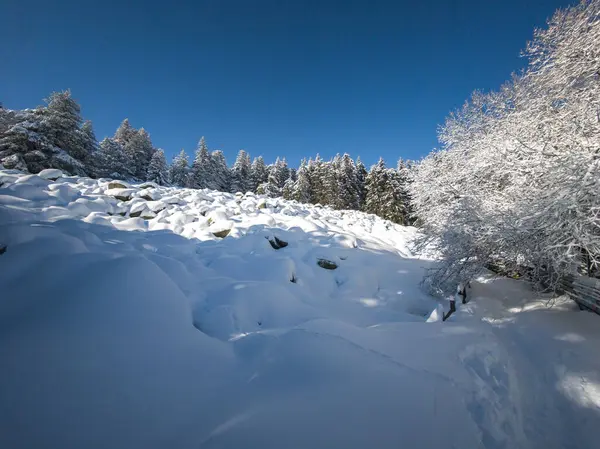 Bulgaristan 'ın Sofya Şehir Bölgesi, Vitosha Dağı' nın İnanılmaz Kış manzarası