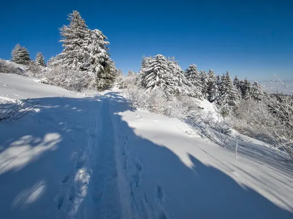 Bulgaristan 'ın Sofya Şehir Bölgesi, Vitosha Dağı' nın İnanılmaz Kış manzarası