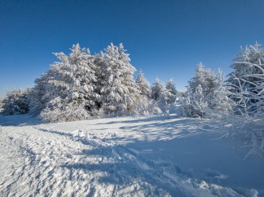 Bulgaristan 'ın Sofya Şehir Bölgesi, Vitosha Dağı' nın İnanılmaz Kış manzarası