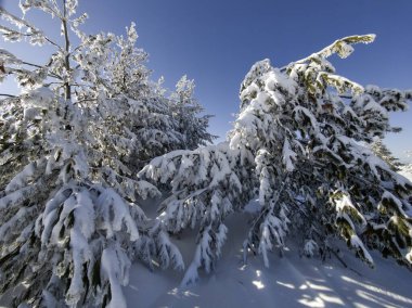 Bulgaristan 'ın Sofya Şehir Bölgesi, Vitosha Dağı' nın İnanılmaz Kış manzarası