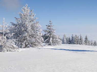 Bulgaristan 'ın Sofya Şehir Bölgesi, Vitosha Dağı' nın İnanılmaz Kış manzarası