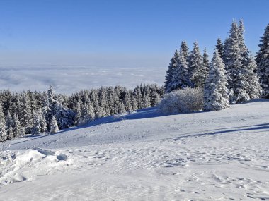 Bulgaristan 'ın Sofya Şehir Bölgesi, Vitosha Dağı' nın İnanılmaz Kış manzarası