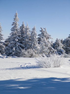 Bulgaristan 'ın Sofya Şehir Bölgesi, Vitosha Dağı' nın İnanılmaz Kış manzarası