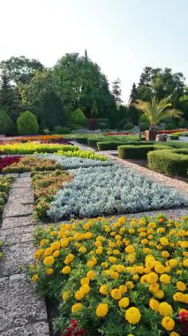 Bulgaristan 'ın Dobrich bölgesinin Balchik kentindeki Botanik Bahçesi' nin inanılmaz manzarası