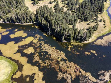 Aerial Summer view of Beglika Reservoir, Pazardzhik Region, Bulgaria