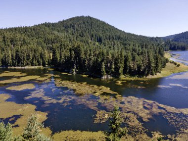 Aerial Summer view of Beglika Reservoir, Pazardzhik Region, Bulgaria
