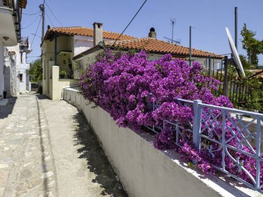 Eski Skiathos, Sporades, Thessaly, Yunanistan 'ın muhteşem manzarası