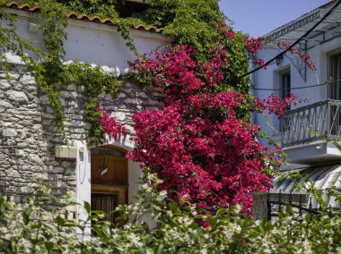 Eski Skiathos, Sporades, Thessaly, Yunanistan 'ın muhteşem manzarası