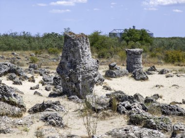 Pobiti Kamani (Upright Stones), Varna bölgesi, Bulgaristan